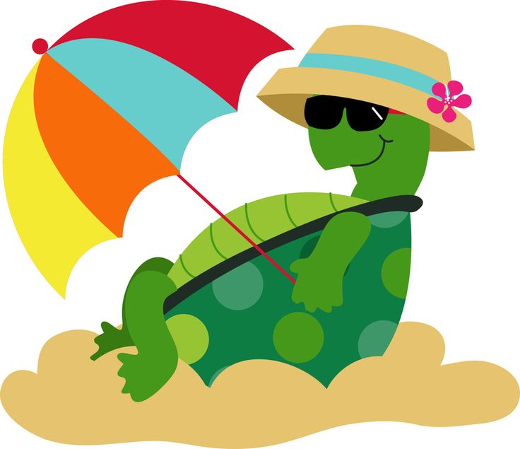 Summer Clipart Turtle Sun Summer 